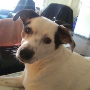 Meet your Posher, Marie